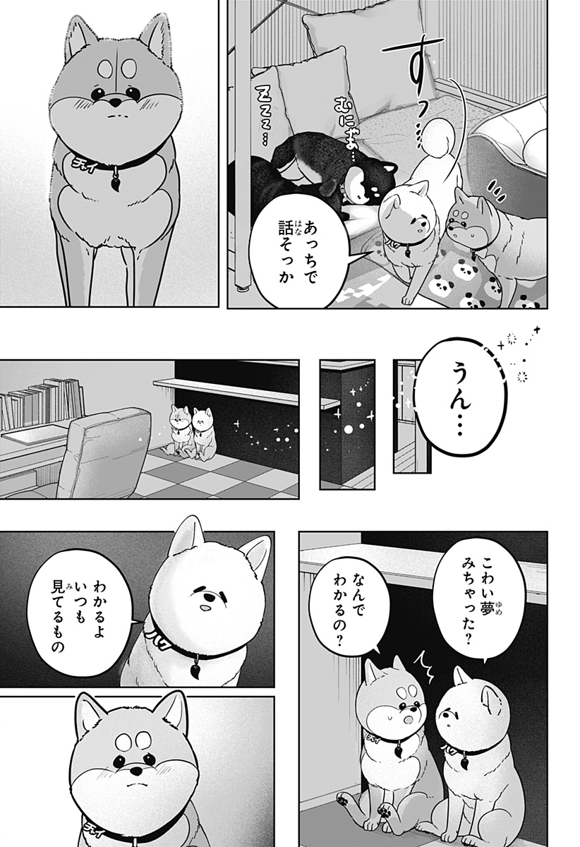 Read SHIBA-TSUKI BUKKEN Chapter 39 [High Quality / Full] - Page 5 - nicomanga.net