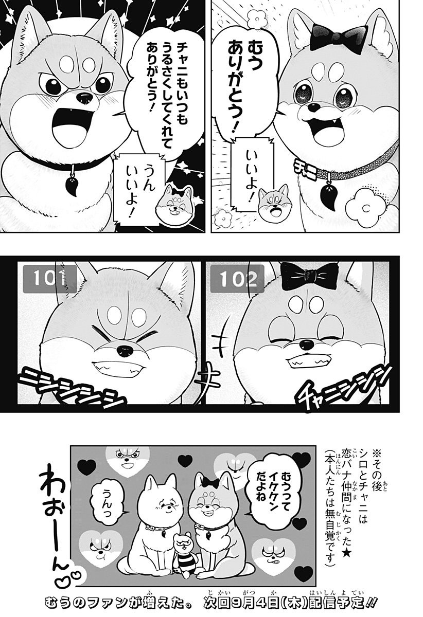 Read SHIBA-TSUKI BUKKEN Chapter 33 [High Quality / Full] - Page 33 - dark.nicomanga.com