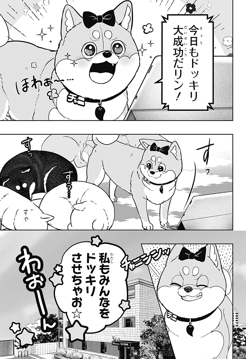 Read SHIBA-TSUKI BUKKEN Chapter 33 [High Quality / Full] - Page 5 - dark.nicomanga.com