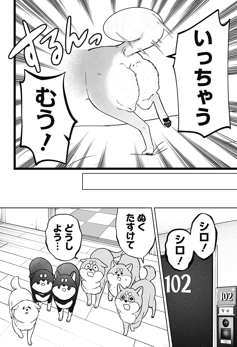 Read SHIBA-TSUKI BUKKEN Chapter 10 [High Quality / Full] - Page 22 - dark.nicomanga.com