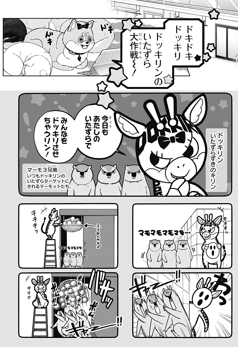 Read SHIBA-TSUKI BUKKEN Chapter 33 [High Quality / Full] - Page 4 - dark.nicomanga.com