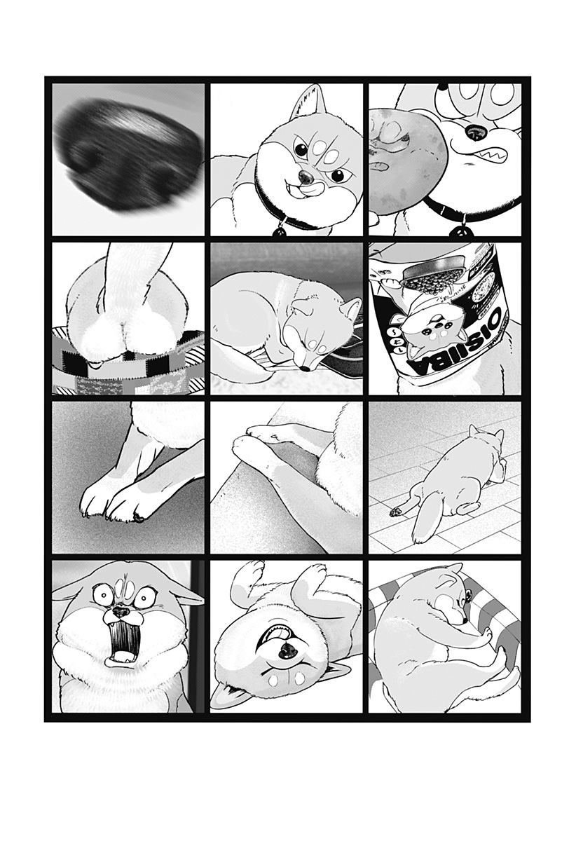 Read SHIBA-TSUKI BUKKEN Chapter 29.5 [High Quality / Full] - Page 10 - nicomanga.net