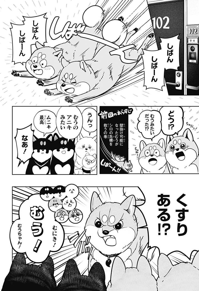 Read SHIBA-TSUKI BUKKEN Chapter 11 [High Quality / Full] - Page 8 - dark.nicomanga.com