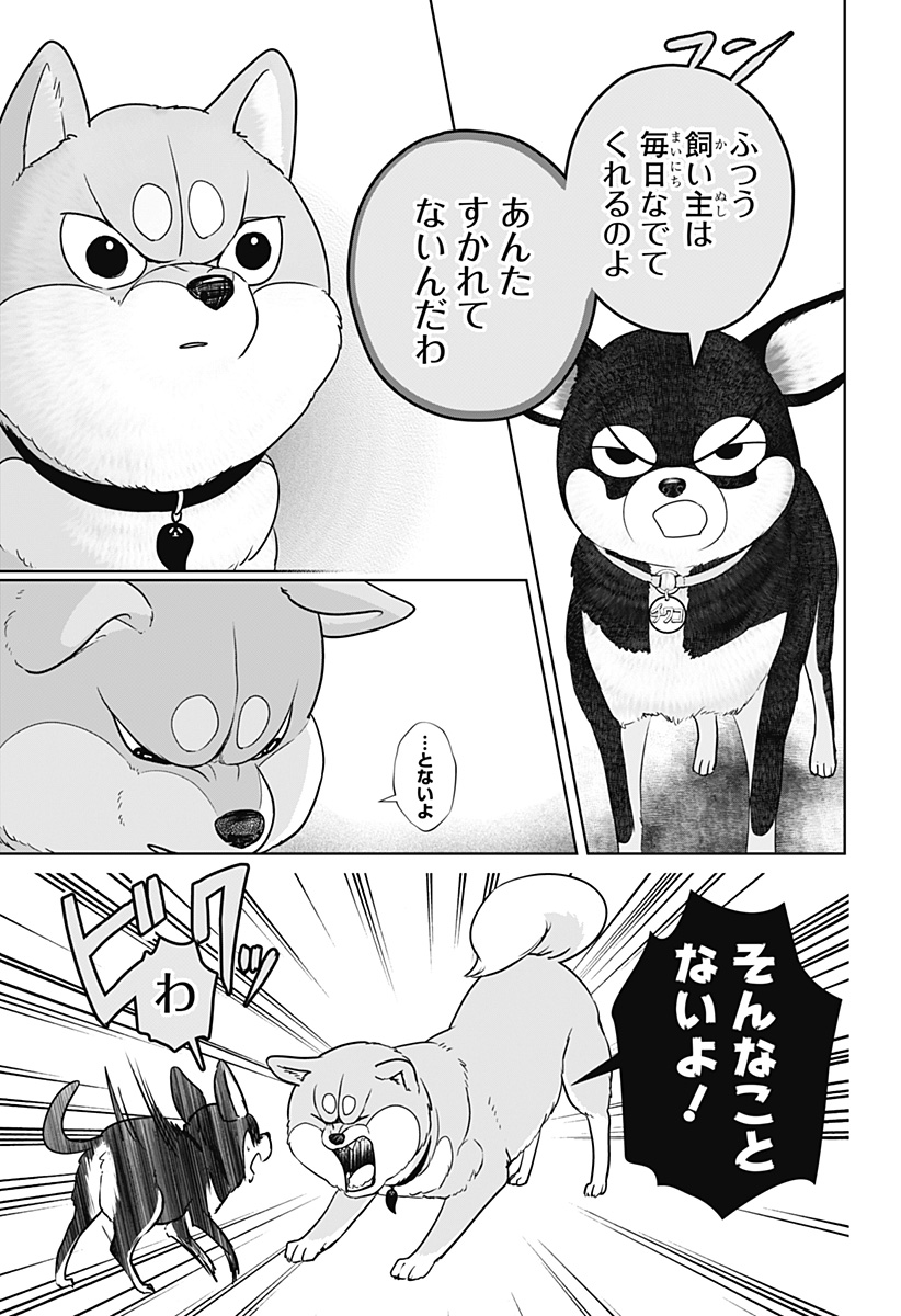 SHIBA-TSUKI BUKKEN Chapter 21 - Page 11