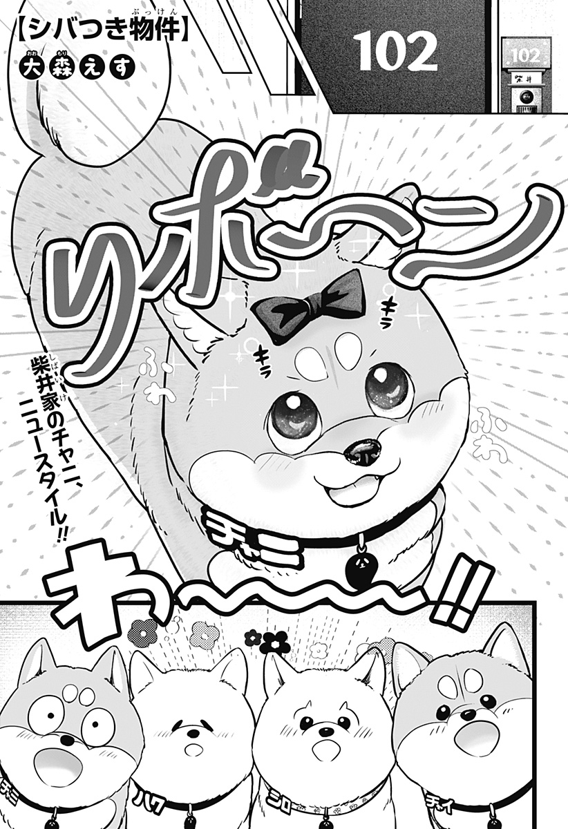 Read SHIBA-TSUKI BUKKEN Chapter 33 [High Quality / Full] - Page 1 - dark.nicomanga.com