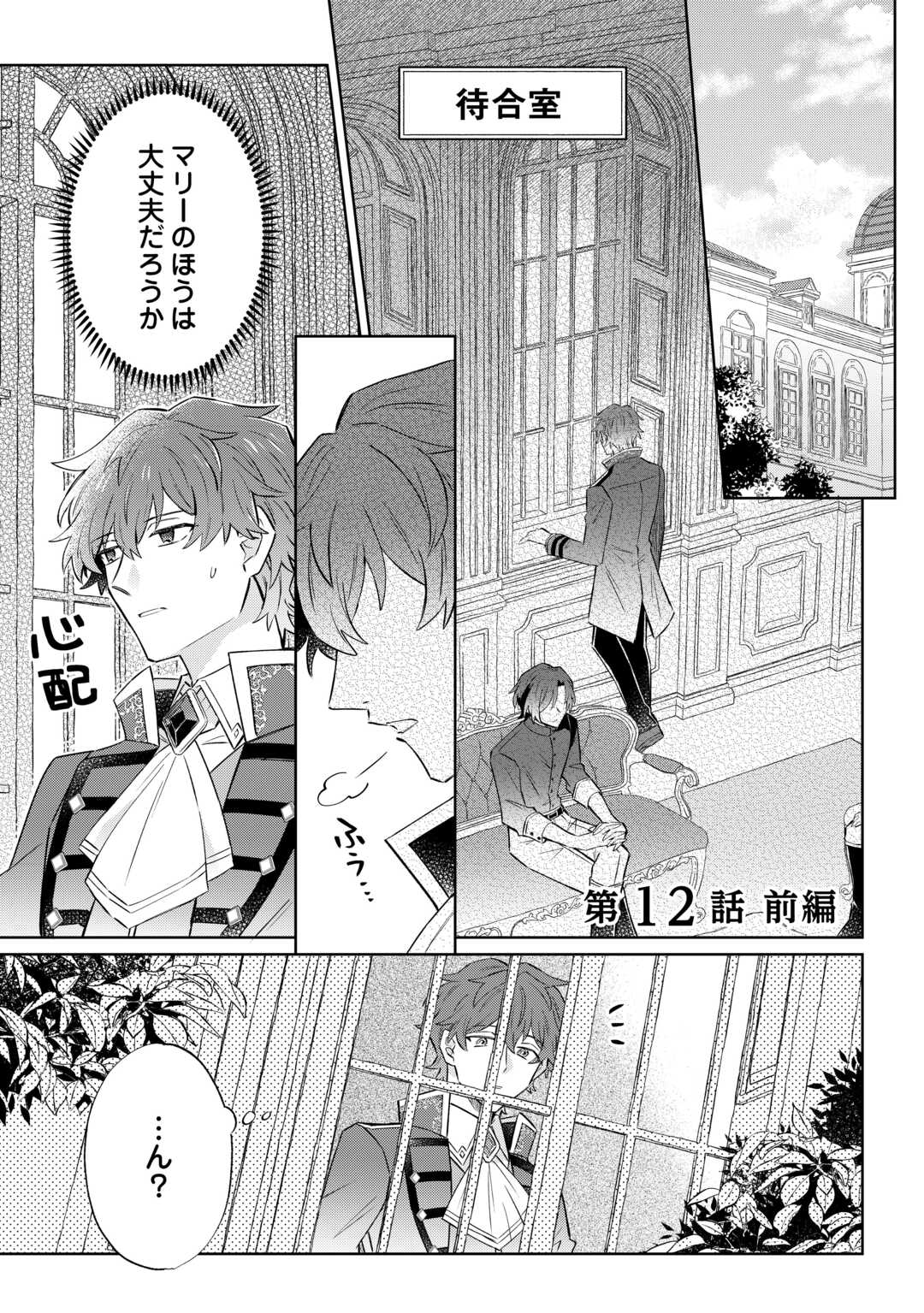 Read KIZOKU REIJOU NI UMARETA KARA NI WA NENGAN NO DARADARA NEETO SEIKATSU SHITAI. Chapter 12.1 [High Quality / Full] - Page 1 - nicomanga.net