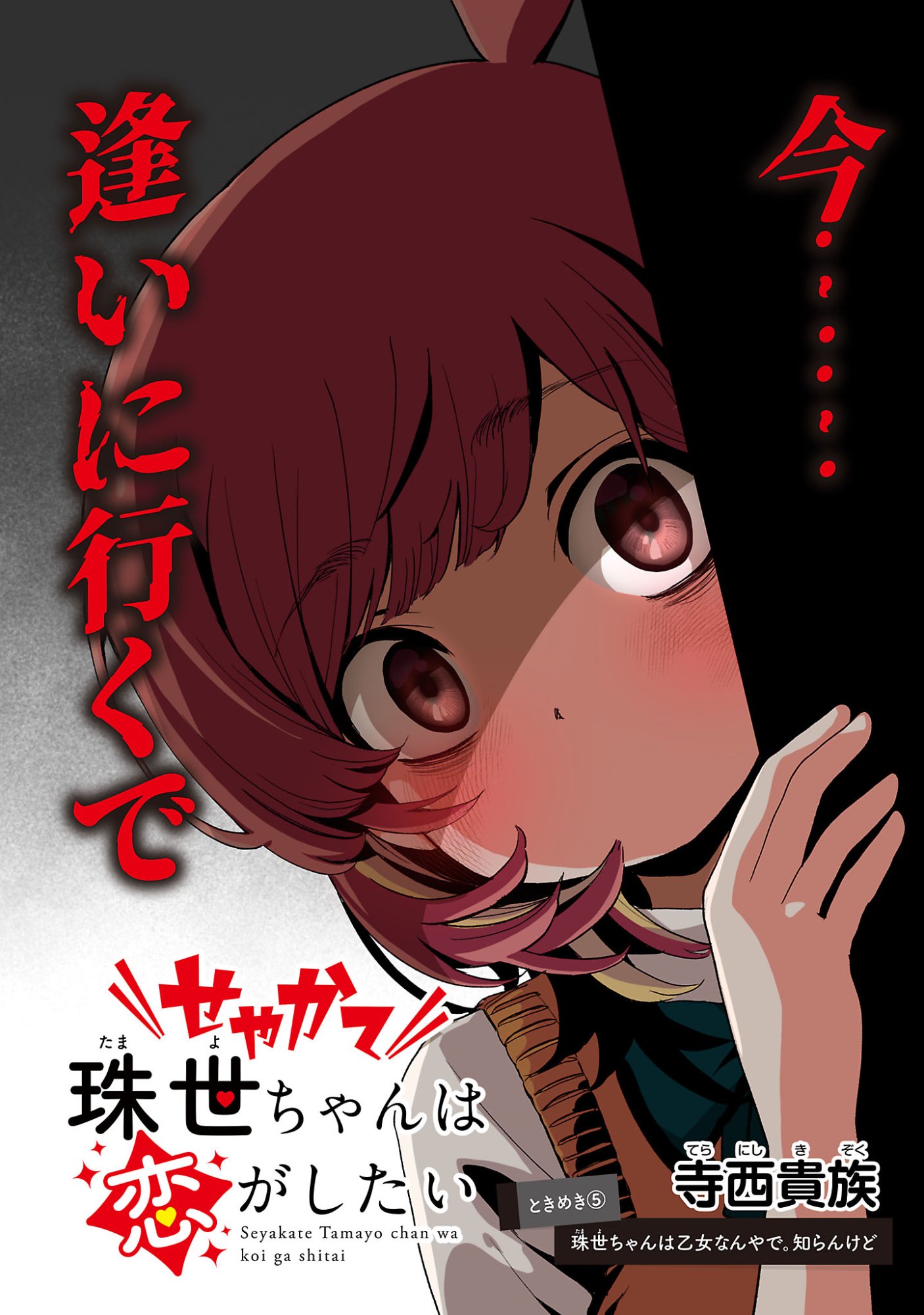 SEYAKATE TAMAYO CHAN WA KOI GA SHITAI Chapter 6 - Page 2