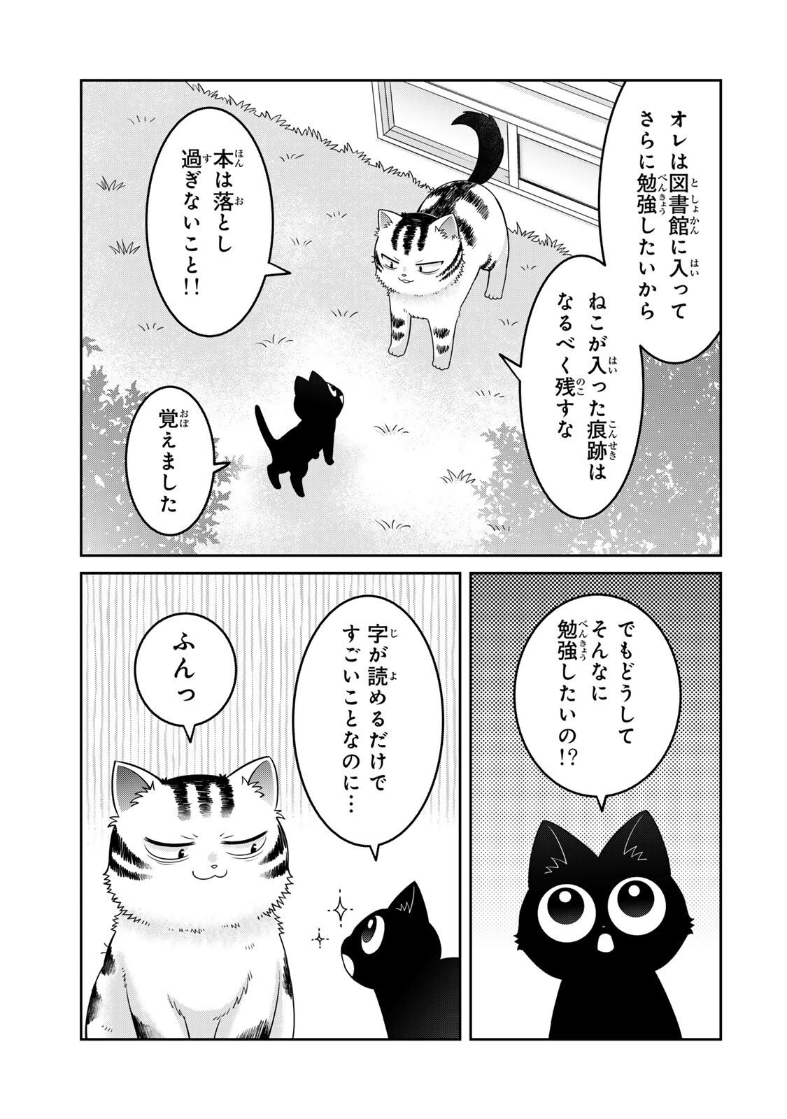 RUDOLF TO IPPAIATTENA Chapter 8 - Page 17