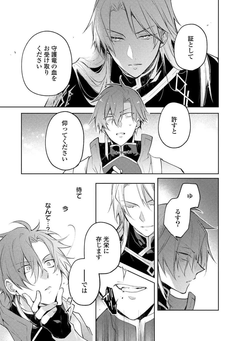 SHINRYUU NO KOUKEISHA DEKISOKONAI TO FUTARI NO SHUGORYUU Chapter 3 - Page 29