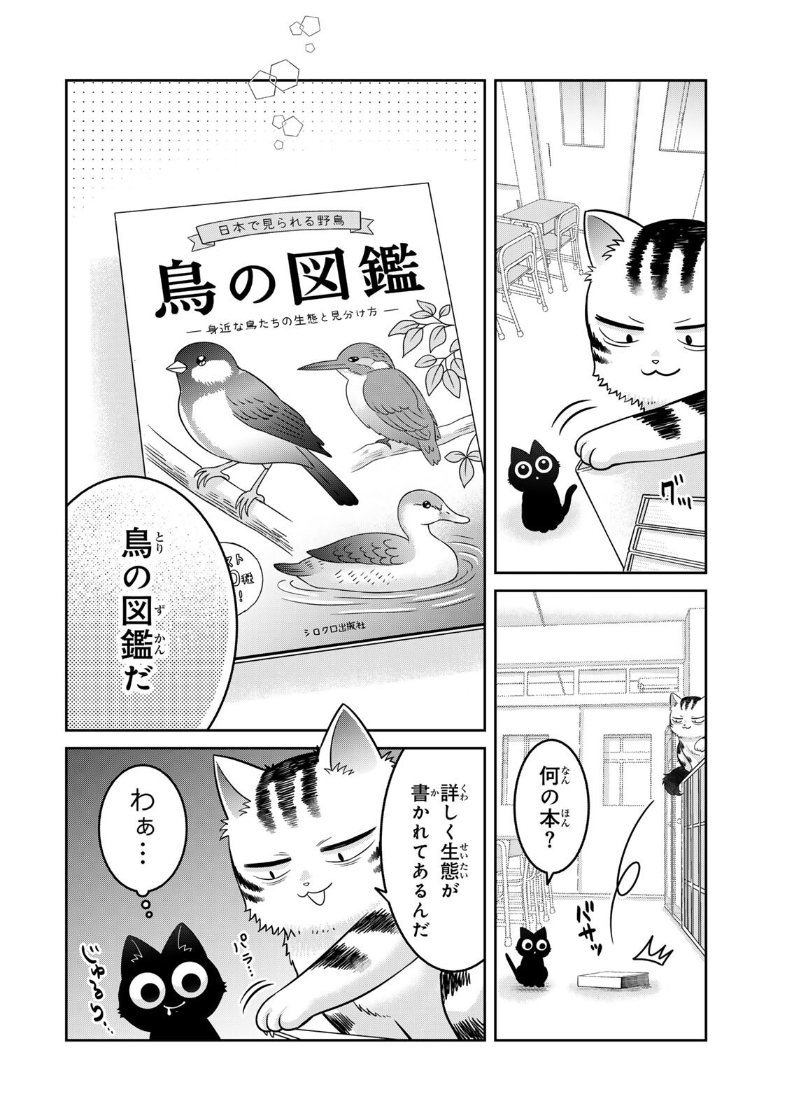 RUDOLF TO IPPAIATTENA Chapter 8 - Page 12