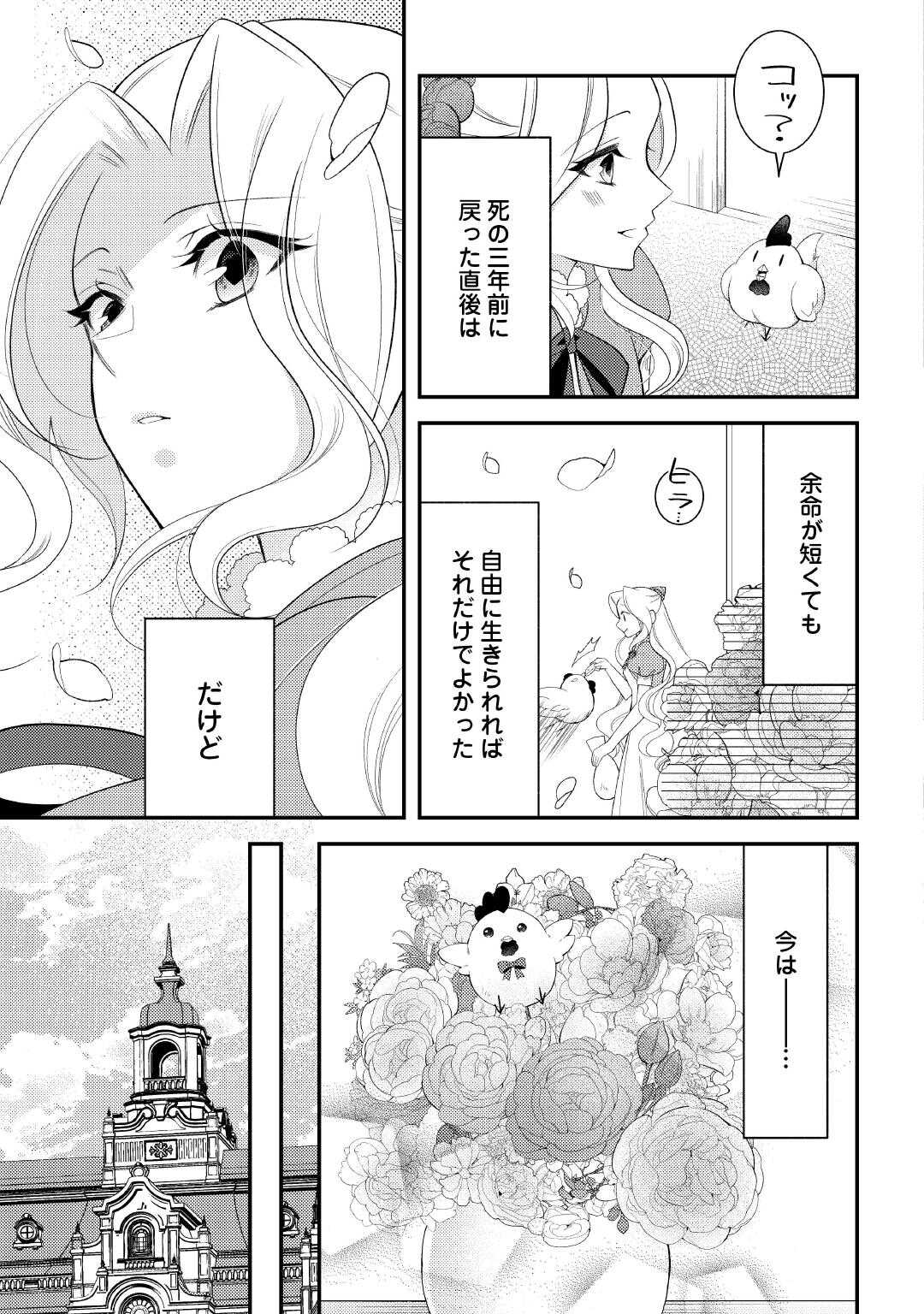 SHINDA OUHI WA NIDOME NO JINSEI WO TANOSHIMIMASU Chapter 17 - Page 3