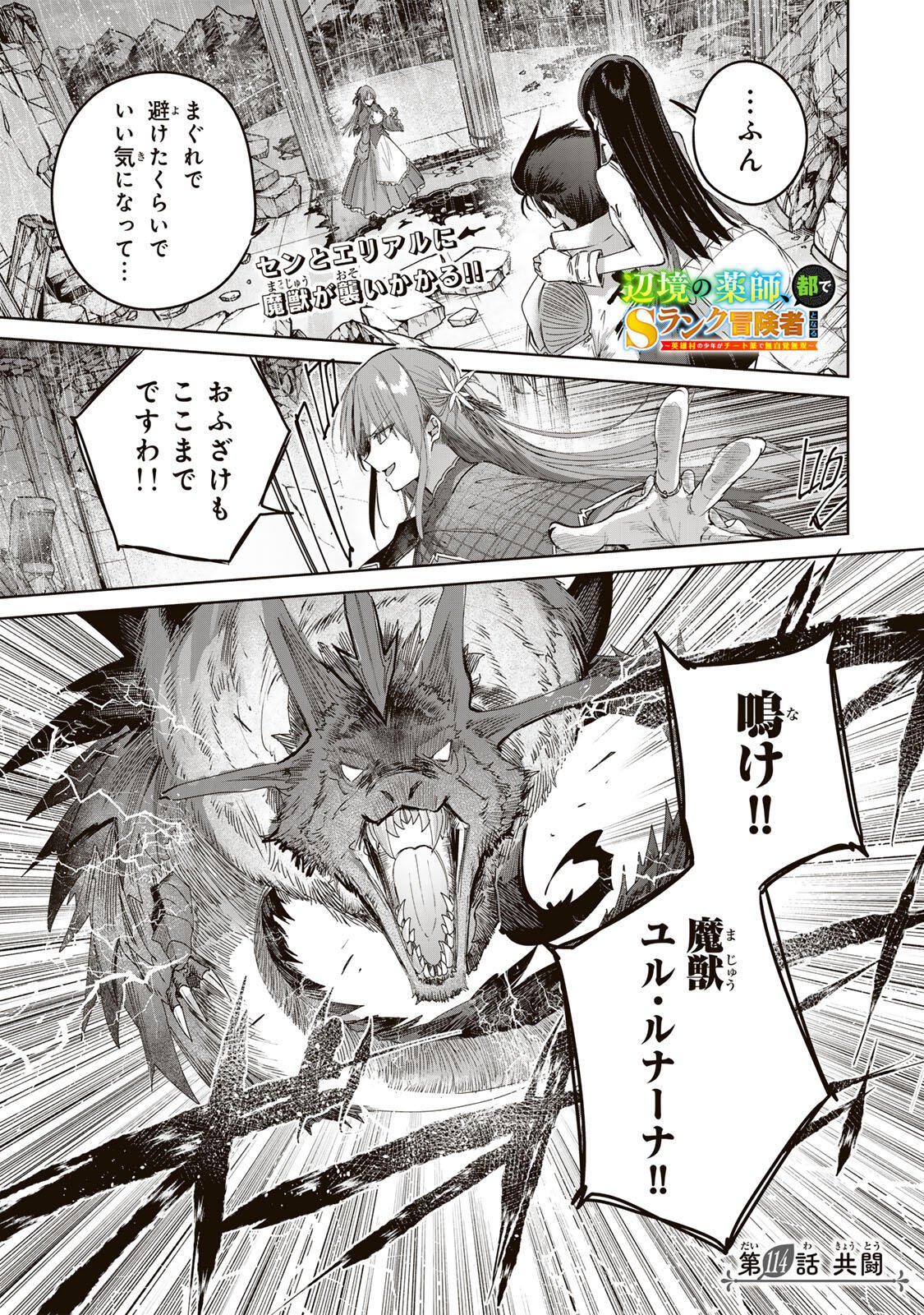 HENKYOU NO YAKUSHI, MIYAKO DE S RANK BOUKENSHA TO NARU Chapter 114 page 1 - nihonkuni.com