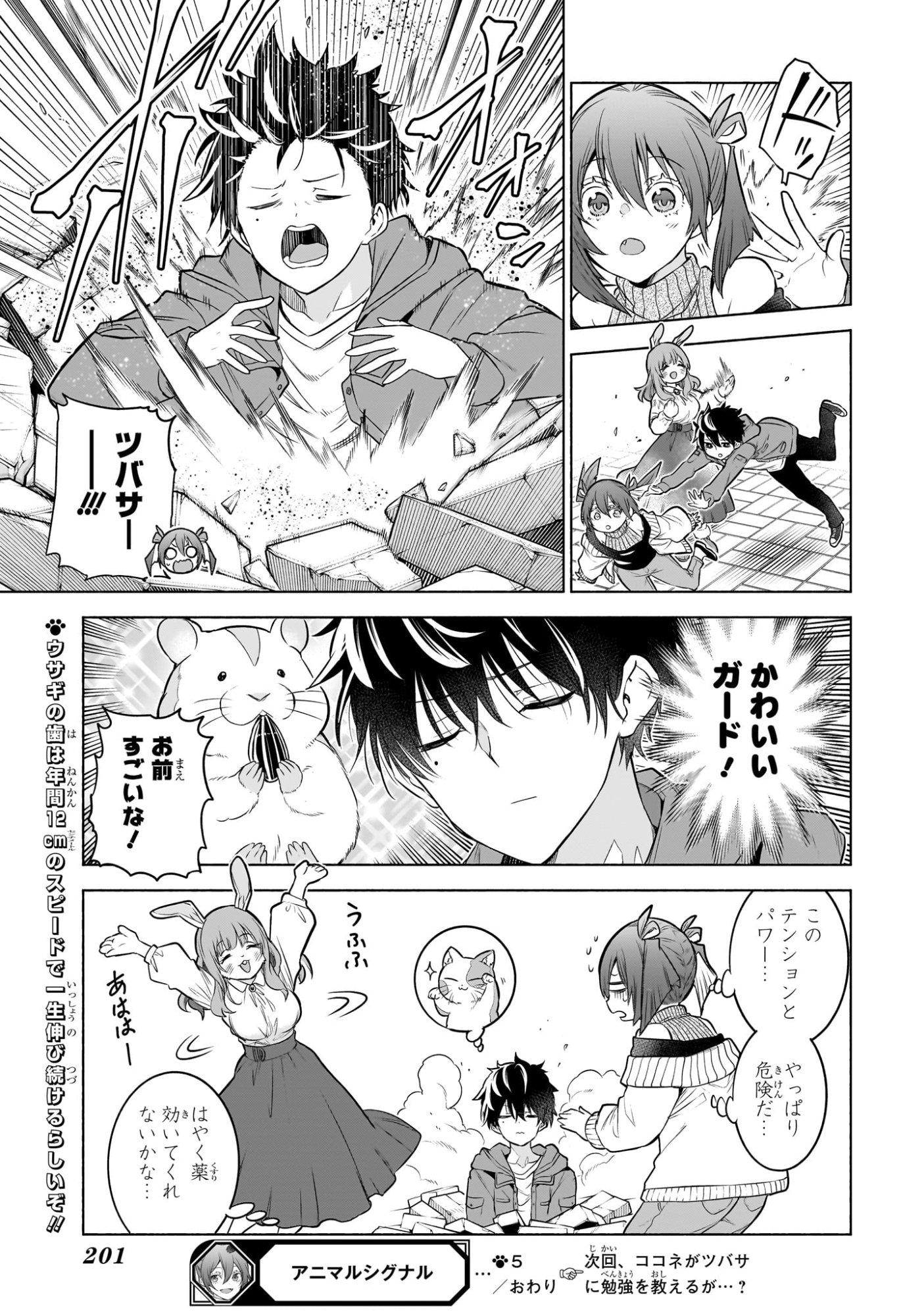 Read ANIMAL SIGNAL Chapter 5 [High Quality / Full] - Page 19 - nicomanga.com