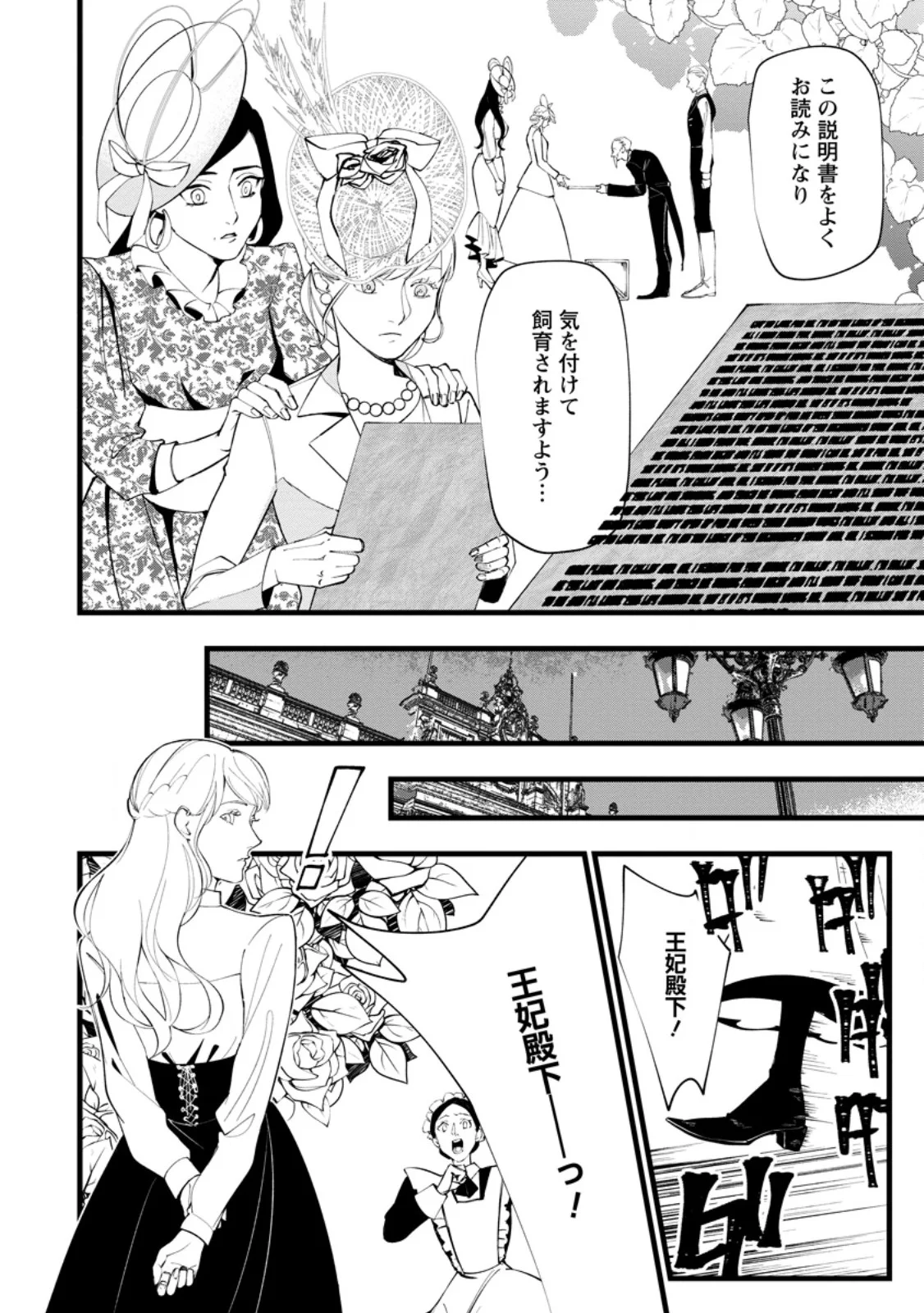 DOKUZU NA KAZOU TO WAKARERU HOUHOU TENSAI NO ANE WA JITSU WA DAME ONNA. MUNOU TO IWARETA IMOUTO WA KYUUKOKU NO MADOUSHI DATTA Chapter 24.2 page 4 - nihonkuni.com