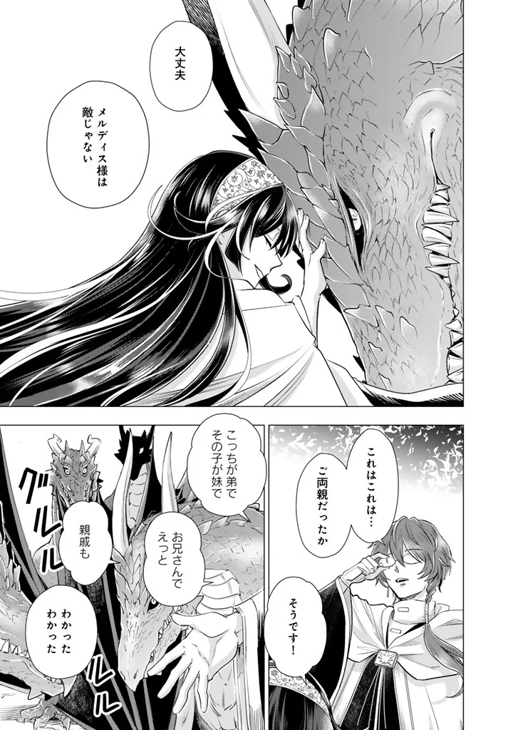 UCHI NO INU GA TSUYOSUGIRUN DESU GA? - TENSEI SHITARA MEGAMI-SAMA NO SHUKUFUKU DE SEKAI WO SUKUU KOTO NI NARIMASHITA Chapter 41 - Page 4