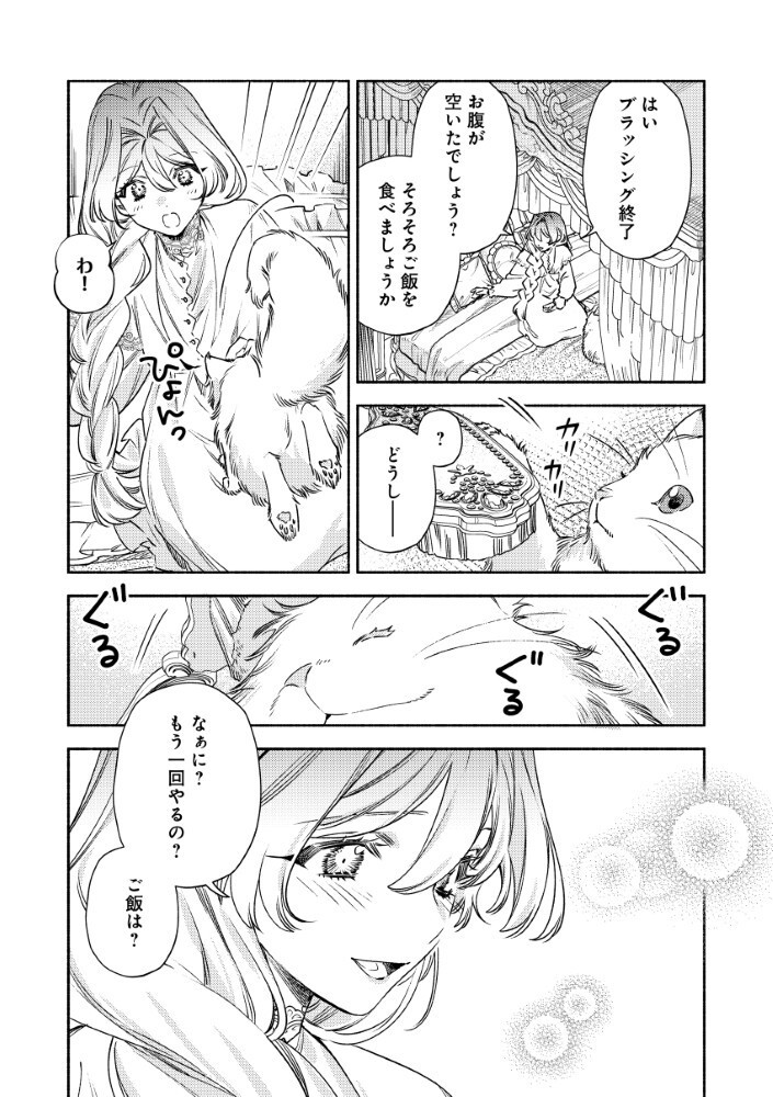 AKUYAKU REIJOU NO WO YOME-SAMA Chapter 16.5 - Page 11