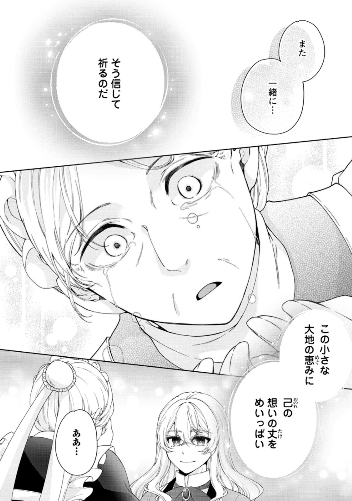 AKUYAKU REIJOU NO NARIAGARI: RINKOKU DE HOUSEKI NO SEIJO TO YOBARERU MADE Chapter 11.3 page 10 - nihonkuni.com