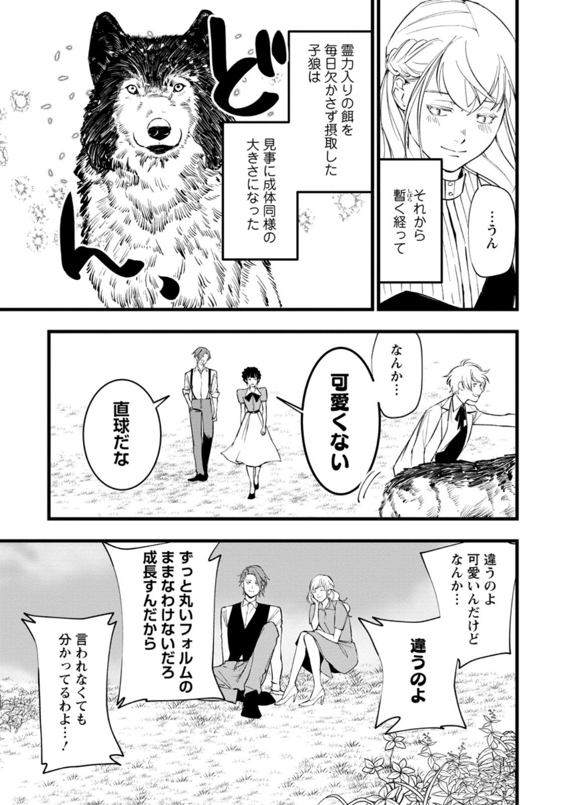DOKUZU NA KAZOU TO WAKARERU HOUHOU TENSAI NO ANE WA JITSU WA DAME ONNA. MUNOU TO IWARETA IMOUTO WA KYUUKOKU NO MADOUSHI DATTA Chapter 24.6 page 3 - nihonkuni.com