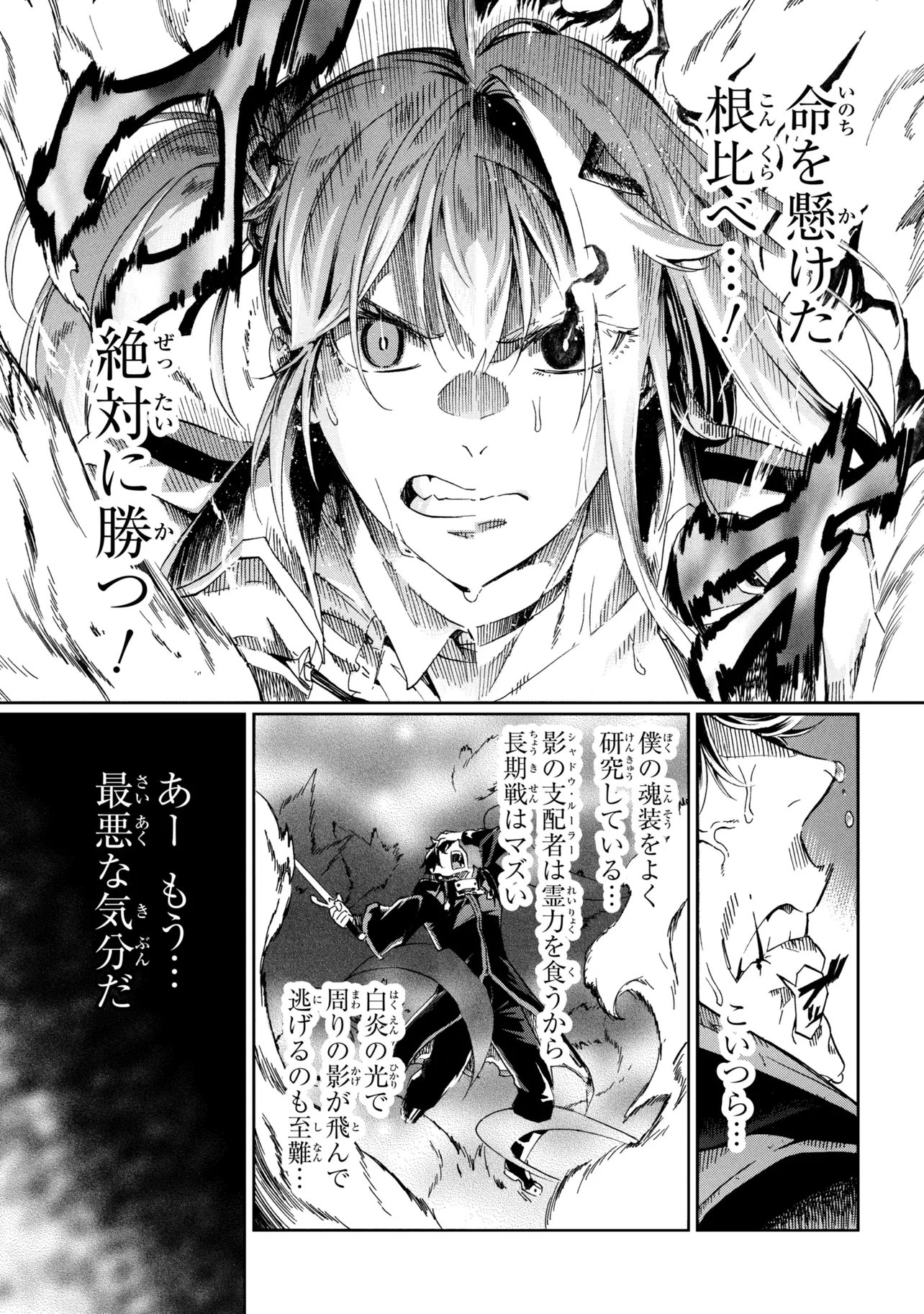 ICHIOKU-NEN BUTTON O RENDA SHITA ORE WA, KIZUITARA SAIKYOU NI NATTEITA (MANGA) - RAW Chapter 47.2 page 13 - nihonkuni.com