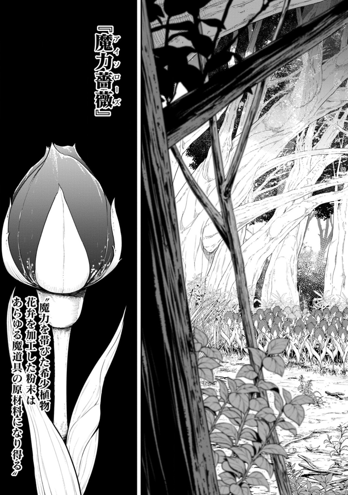 ZATSUYO FUYO JUTSU SHI GA JIBUN NO SAIKYO NI KIZUKU MADE MEIWAKU WO KAKENAI YO NI SHITEKIMASHITAGA, TSUIHO SARETANODE SUKI NI IKIRU KOTO NI SHIMASHITA Chapter 56.1 page 7 - nihonkuni.com