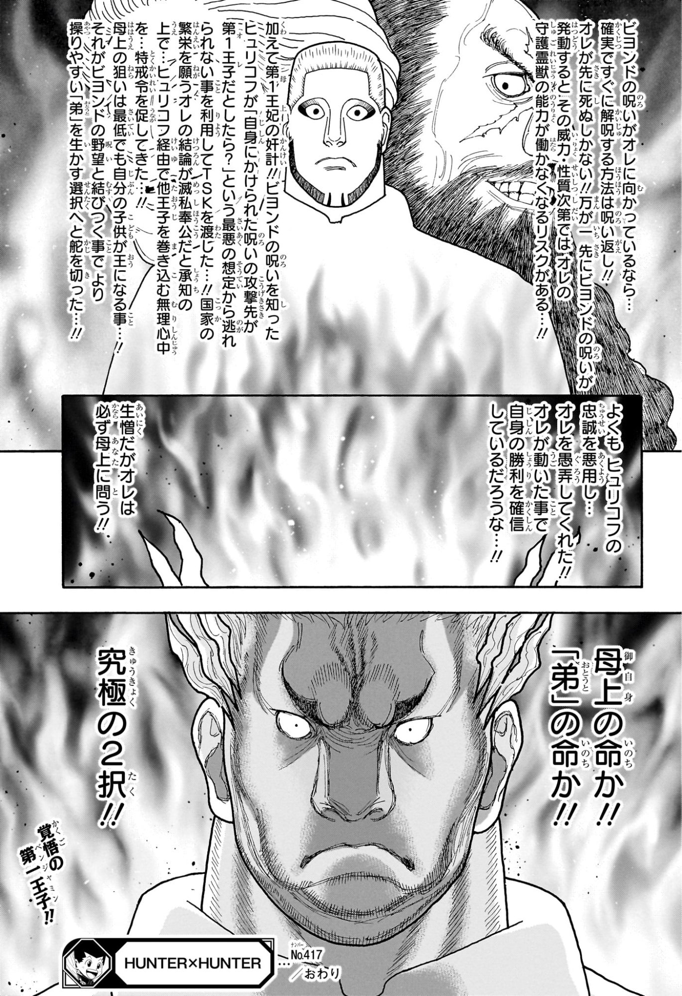 HUNTER X HUNTER - RAW Chapter 417 page 19 - nihonkuni.com