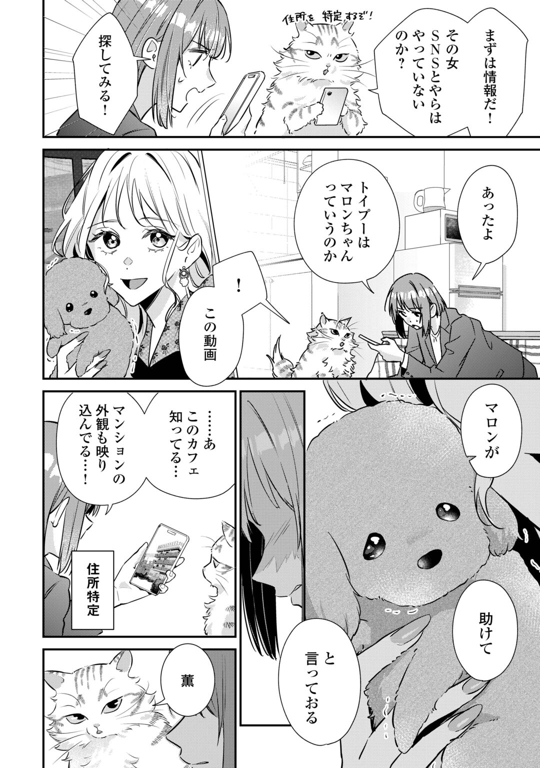 HIROTTA NO GA HONTOU NI NEKO KA WA UTAGAWASHII Chapter 5.2 page 3 - nihonkuni.com