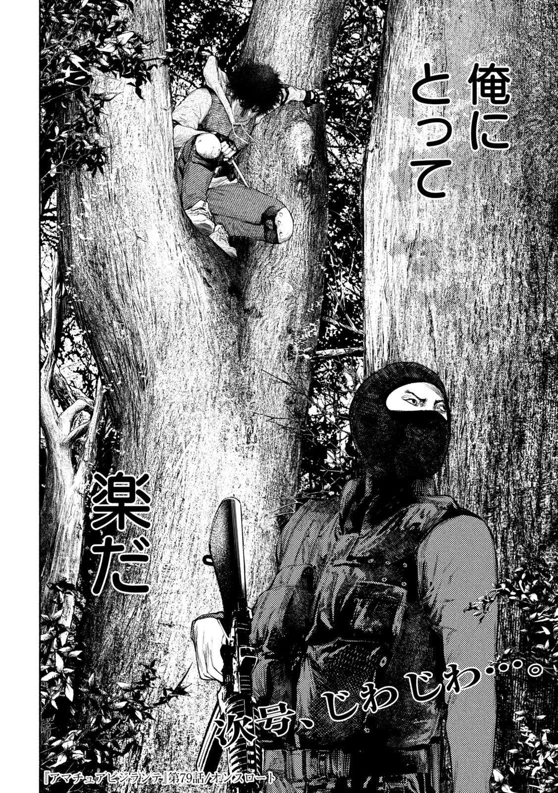 AMATEUR VIGILANTE Chapter 79 - Page 20