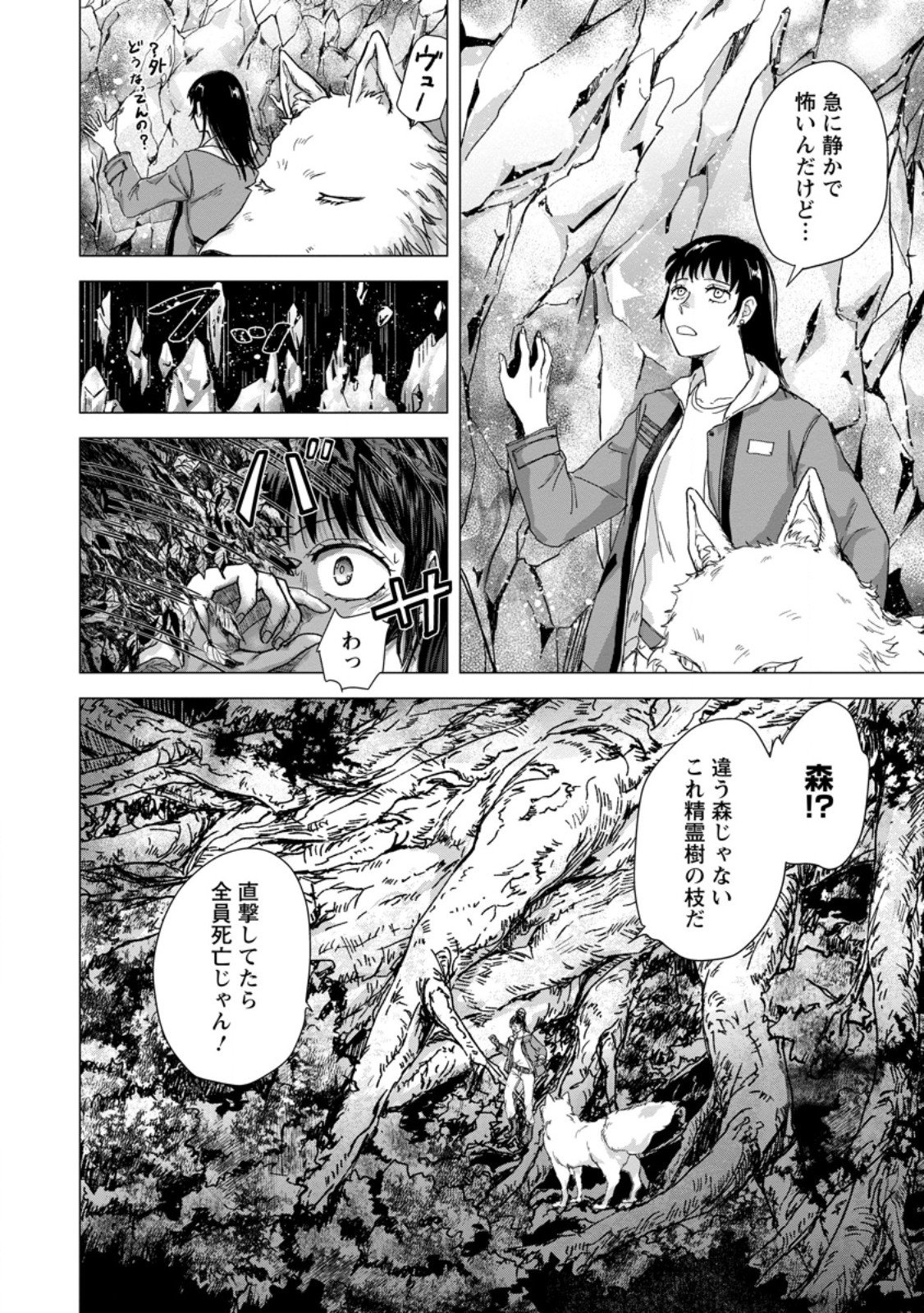 HITORI CAMP SHITARA ISEKAI NI TENI SHITA HANASHI Chapter 27.2 page 4 - nihonkuni.com