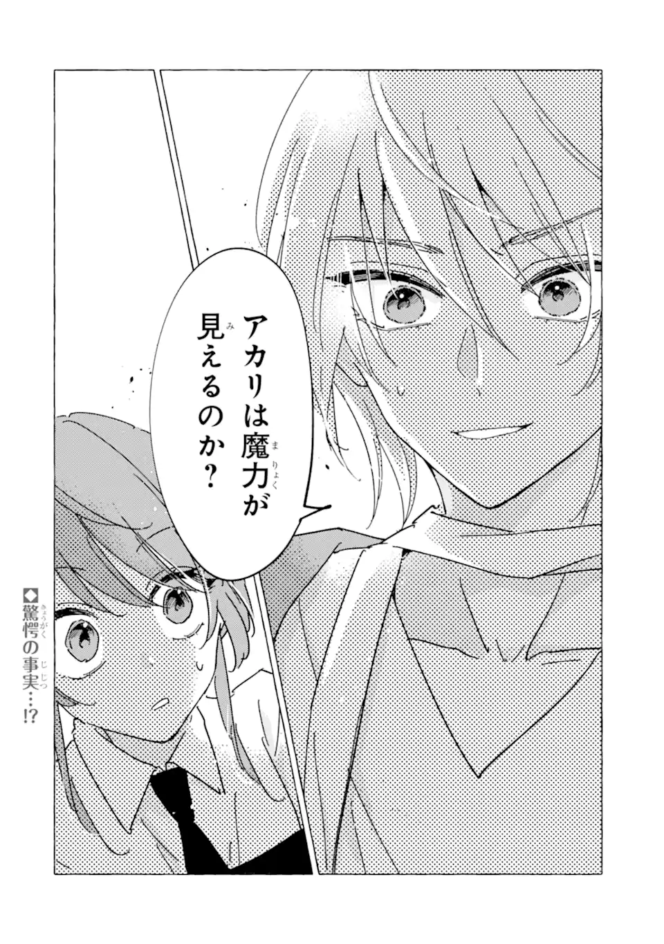 HAIBOKU SEIJO WA, HITAMUKI NI KUNI WO HOROBOSHIMASU! Chap 10.3 - Pic 10