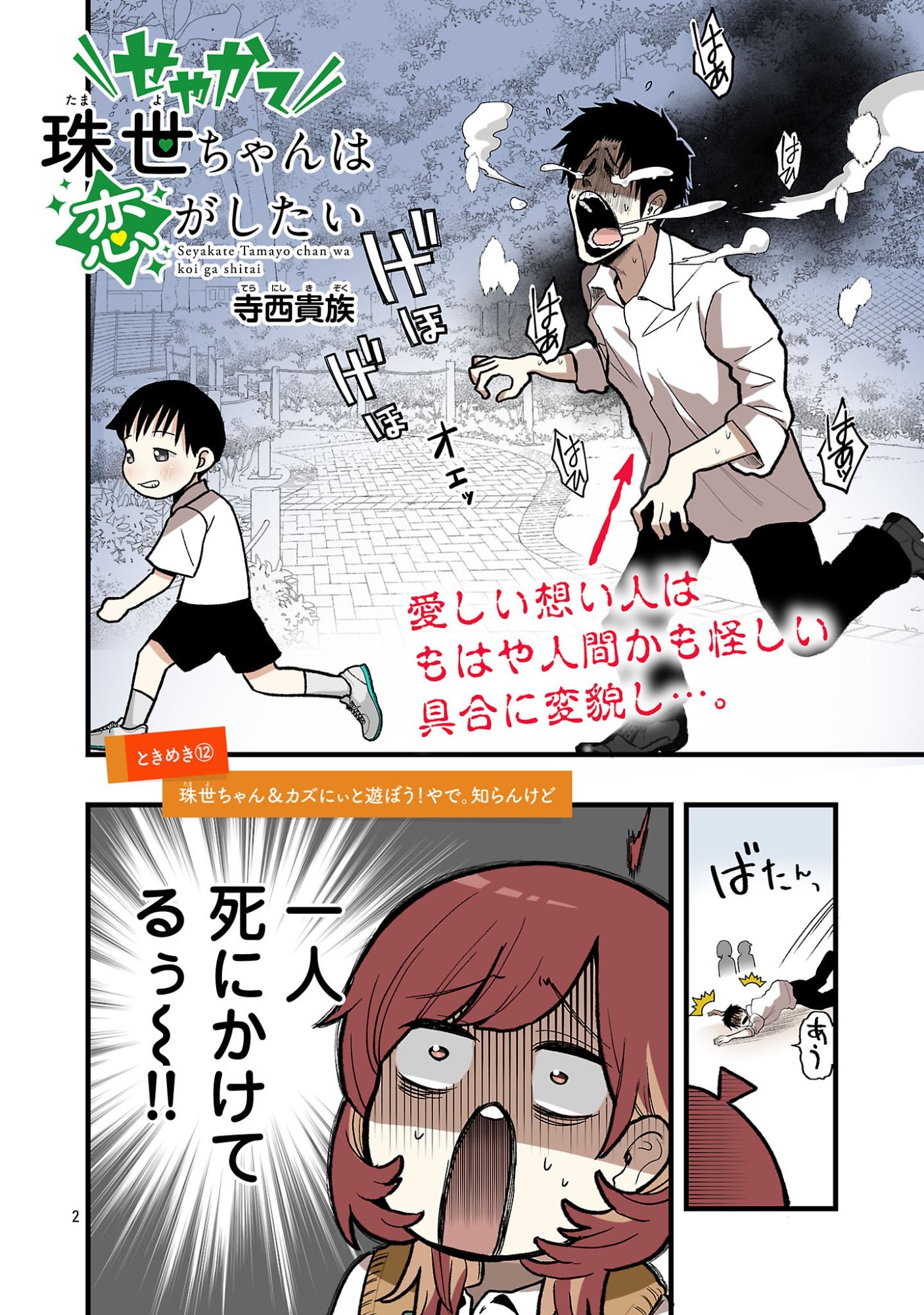 SEYAKATE TAMAYO CHAN WA KOI GA SHITAI Chap 12 - Pic 2