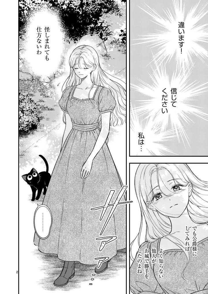 KAIBUTSU OUJI NO ITOSHII MAJO Chap 3 - Pic 2