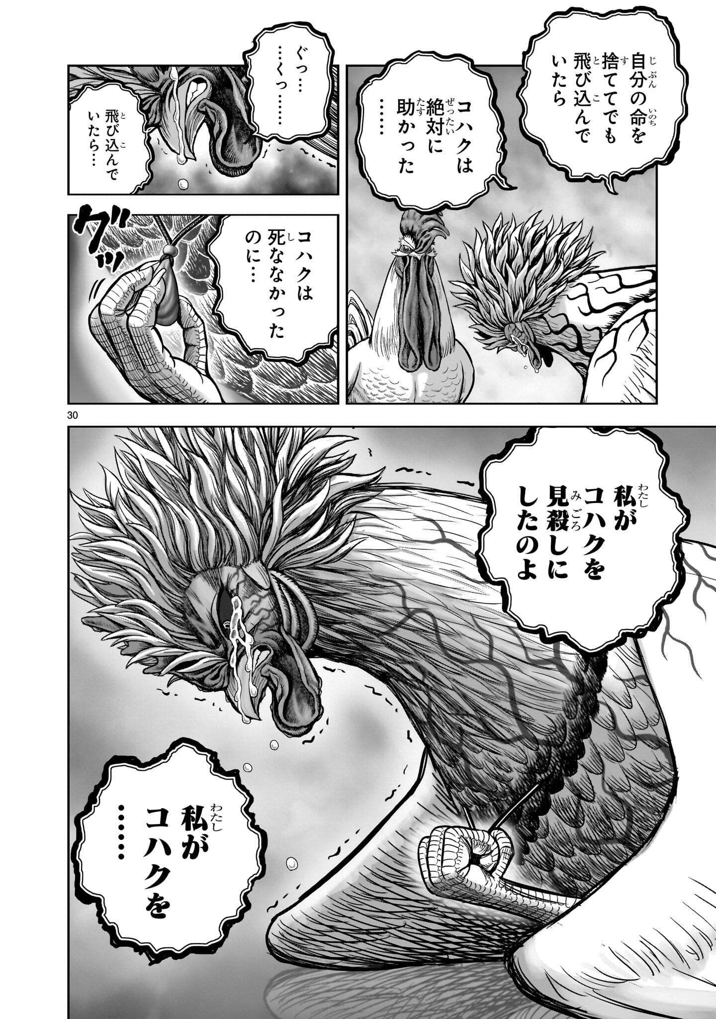NIWATORI FIGHTER Chap 62.2 - Pic 4