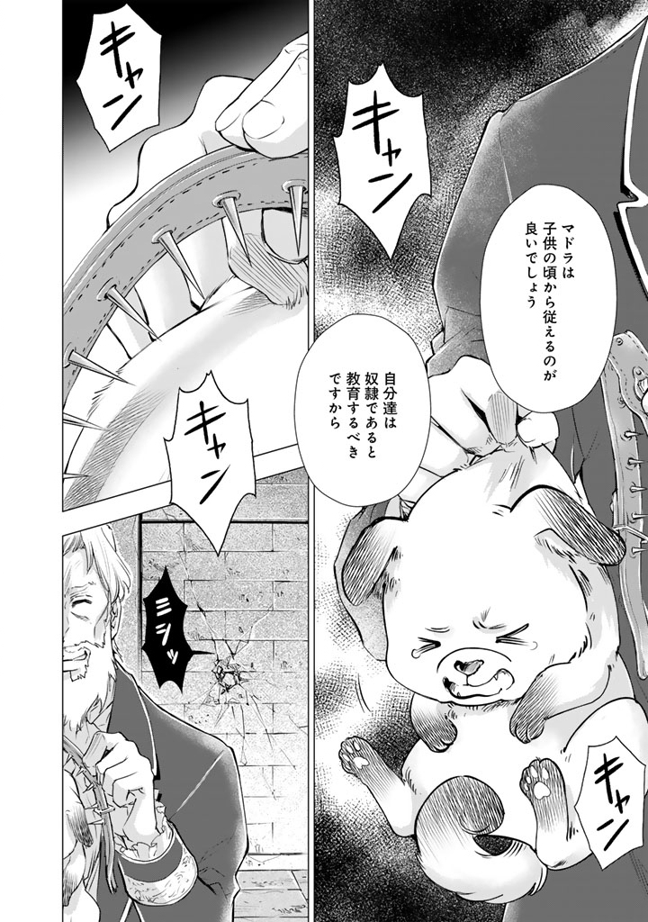 UCHI NO INU GA TSUYOSUGIRUN DESU GA? - TENSEI SHITARA MEGAMI-SAMA NO SHUKUFUKU DE SEKAI WO SUKUU KOTO NI NARIMASHITA Chap 43 - Pic 12