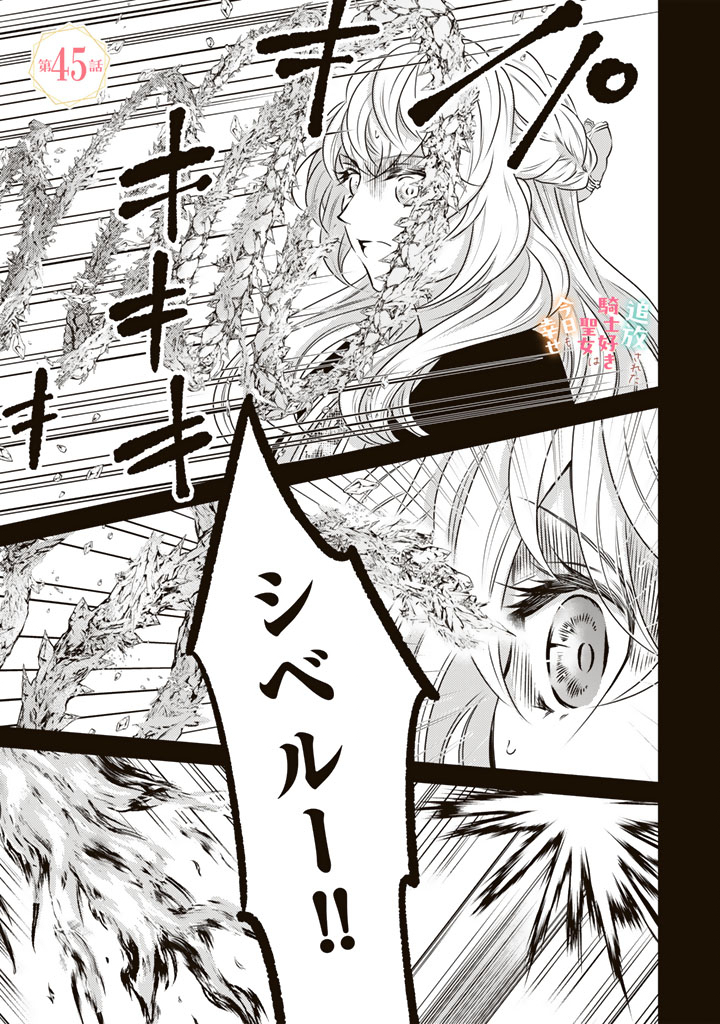 TSUIHOU SARETA KISHI SUKI SEIJO WA KYOU MO SHIAWASE Chap 45 - Pic 1