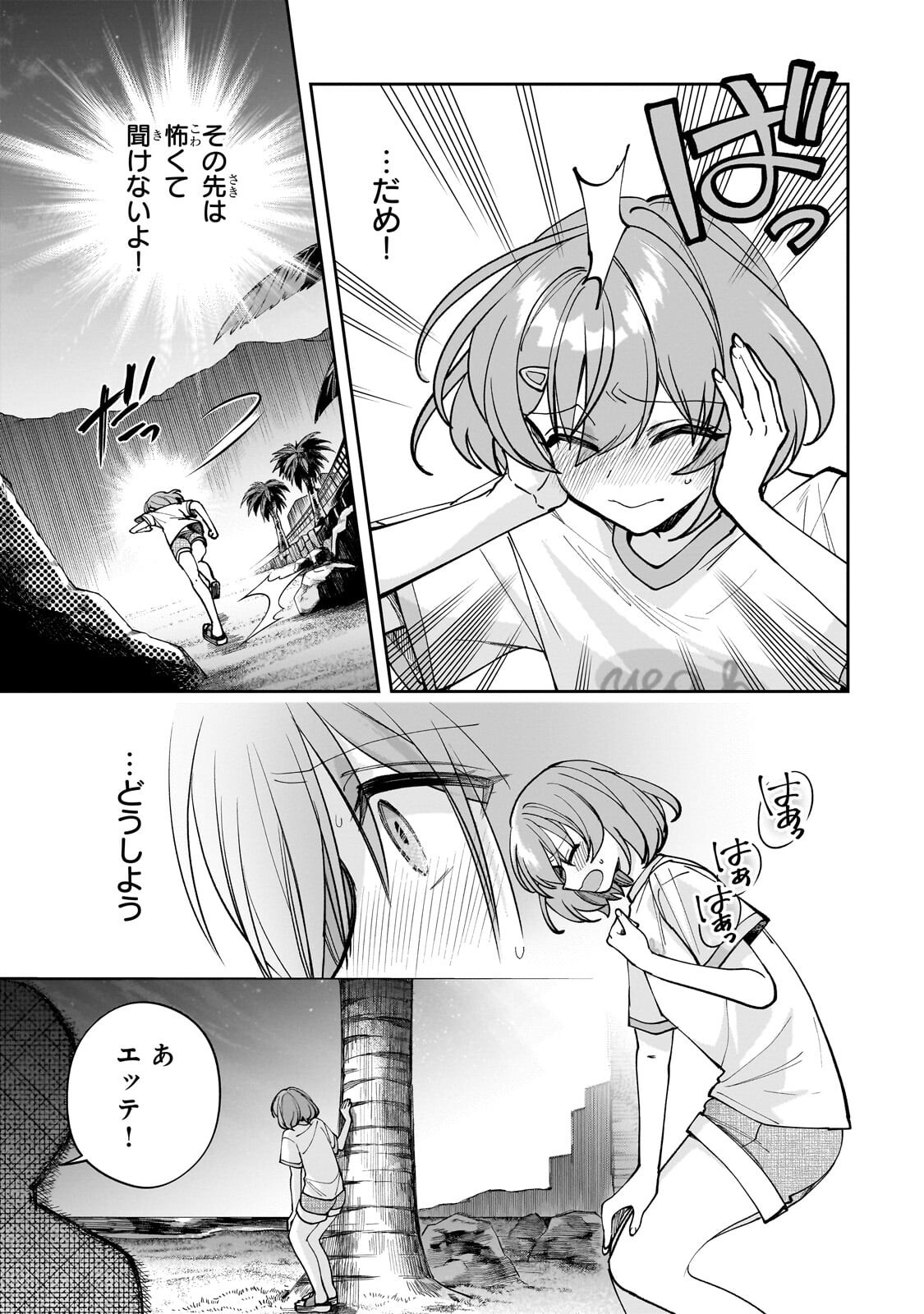 NET NO 